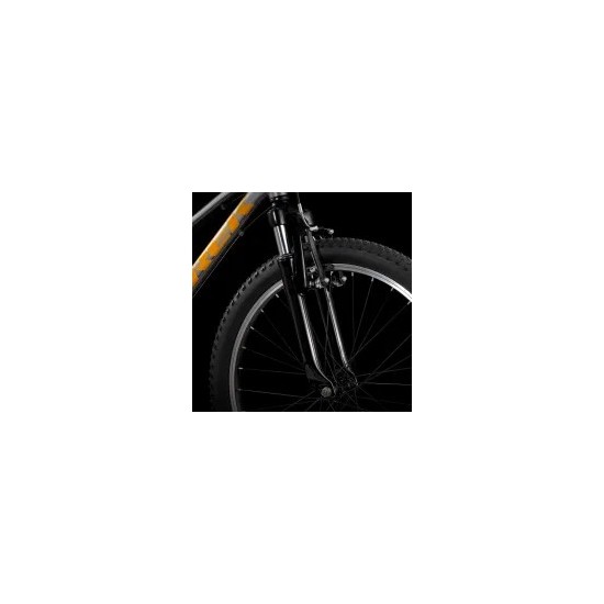 Bicicletas infantil Igualada - Trek Precaliber 24 -